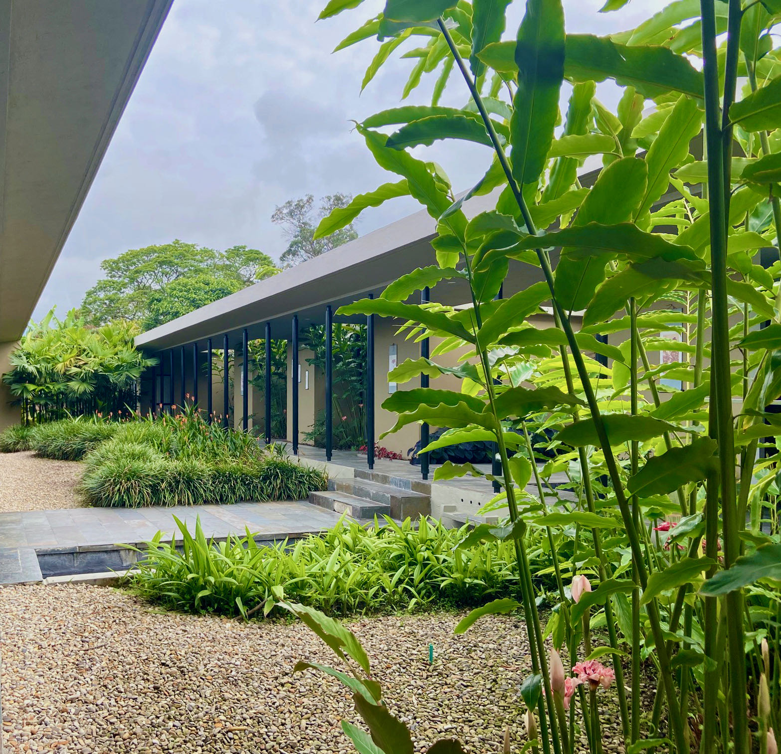 Bedroom wing open corridor   Bedroom wing open corridor